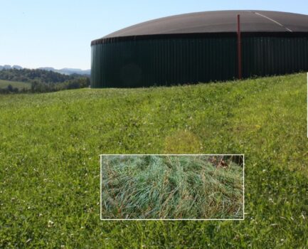 Öko-Regelungen der GAP für Biogas nutzen