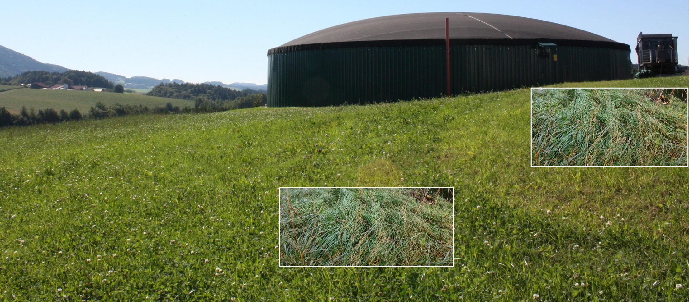 Honorierung von Ökoleistungen für Biogas nutzen