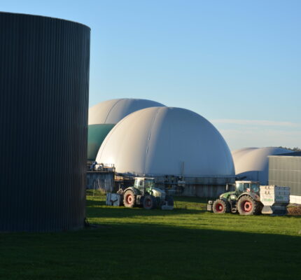 Marktchancen Biogas – Erfolgsfaktor Flexibilität